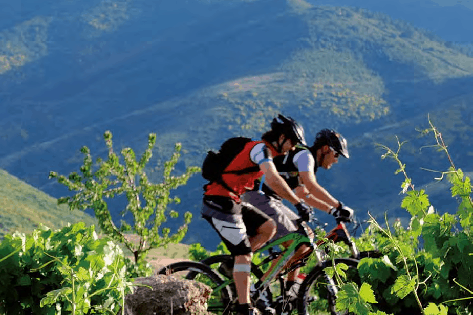 Bike Tour French Way Ponferrada 3