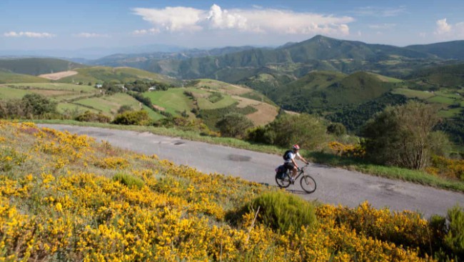 camino de santiago