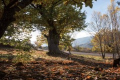 Bike Tour French Way Ponferrada 5