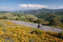 Bike Tour French Way