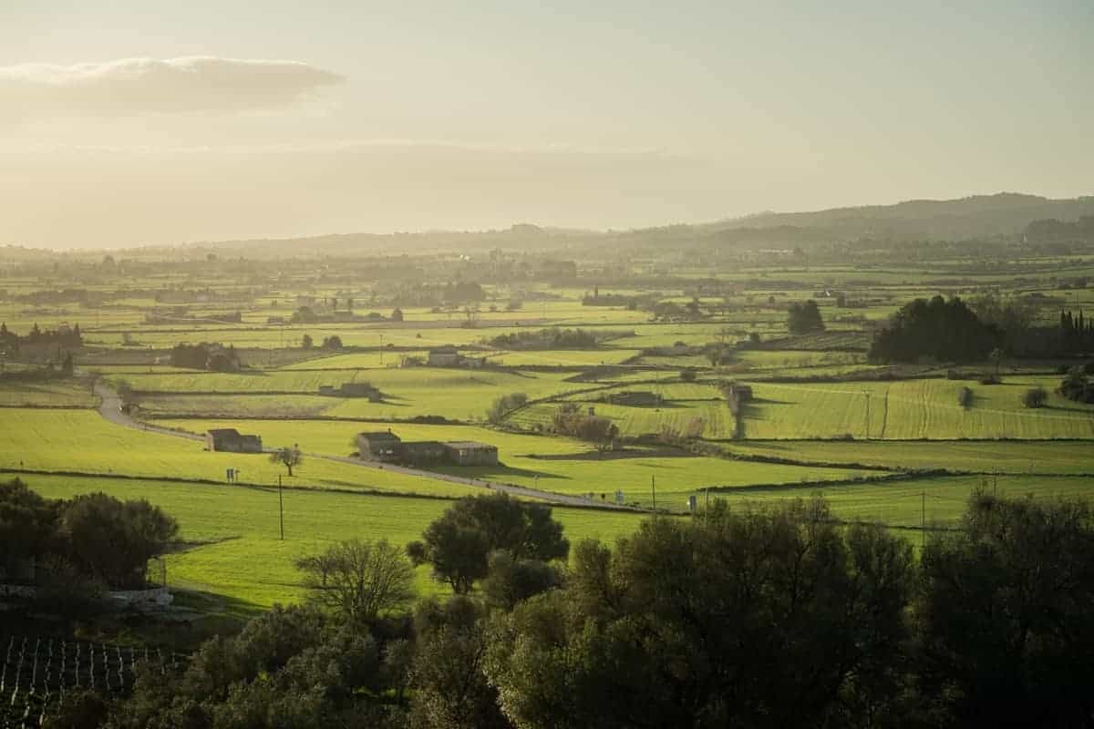 Cycling Mallorca_Montuiri_Holidays_Amazing_Landscape