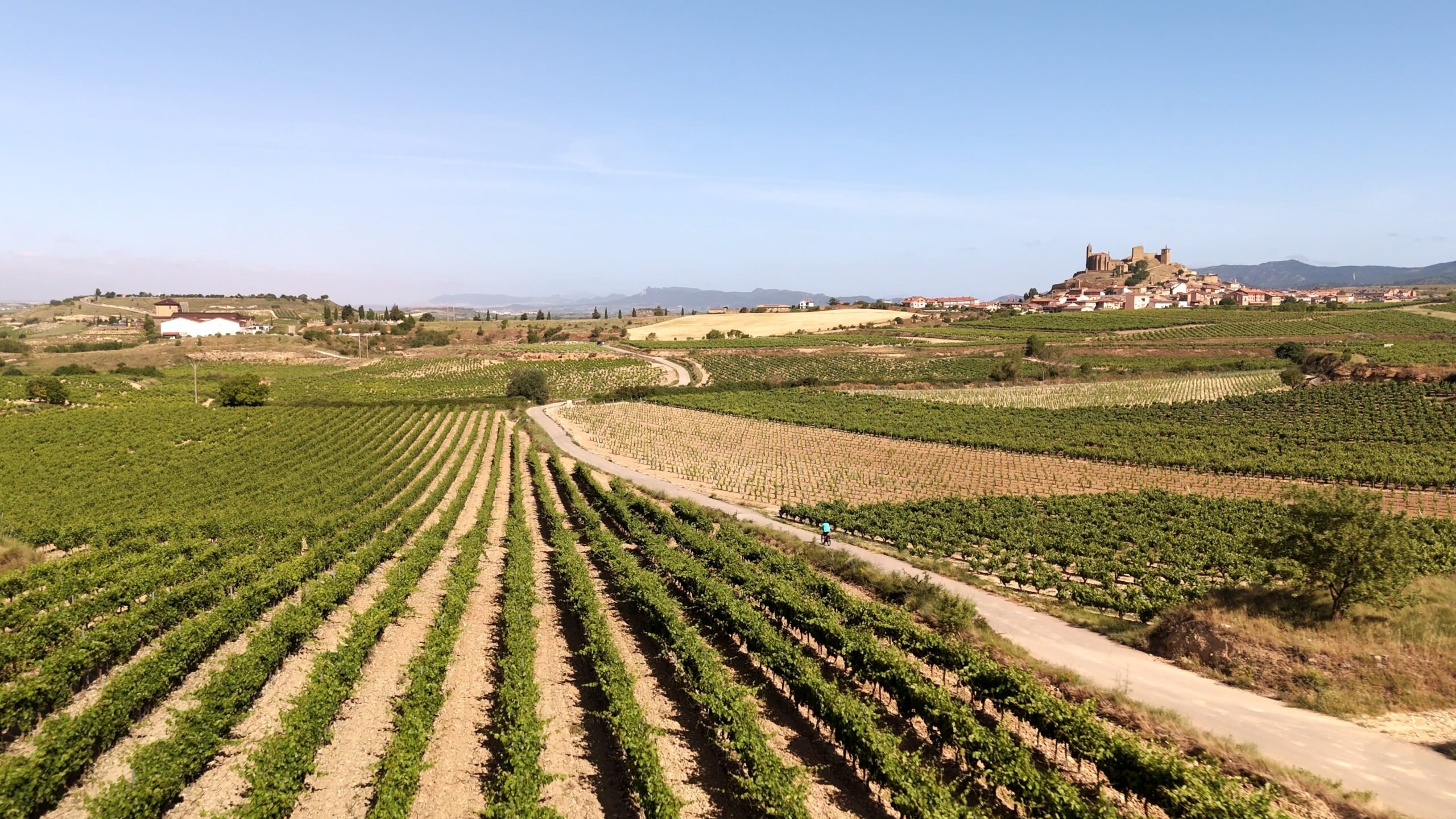 Cyclist riding through vineyards towards the medieval village of Laguardia in La Rioja.