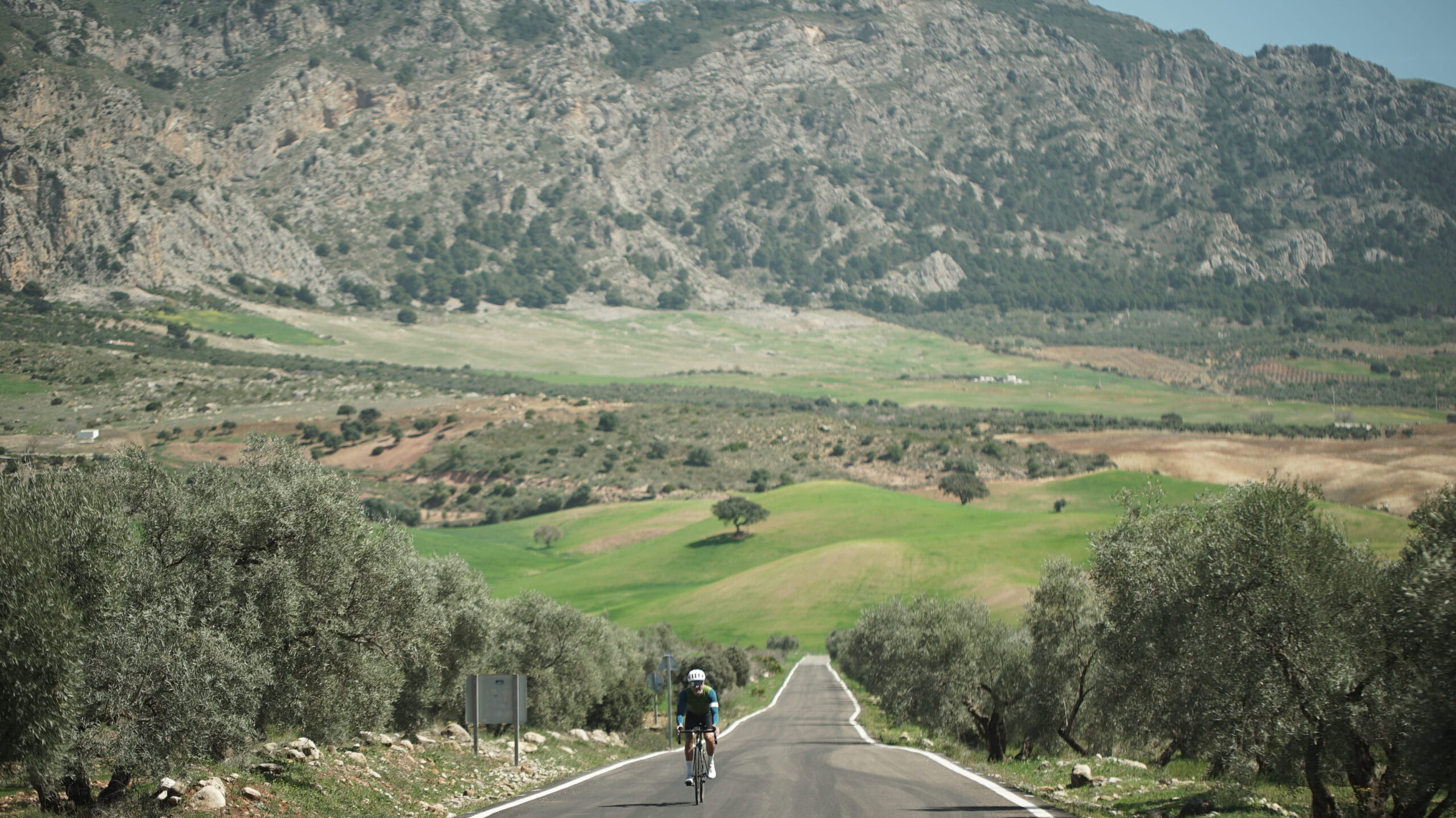 road cycling in andalucía - climbing sierra de las nieves