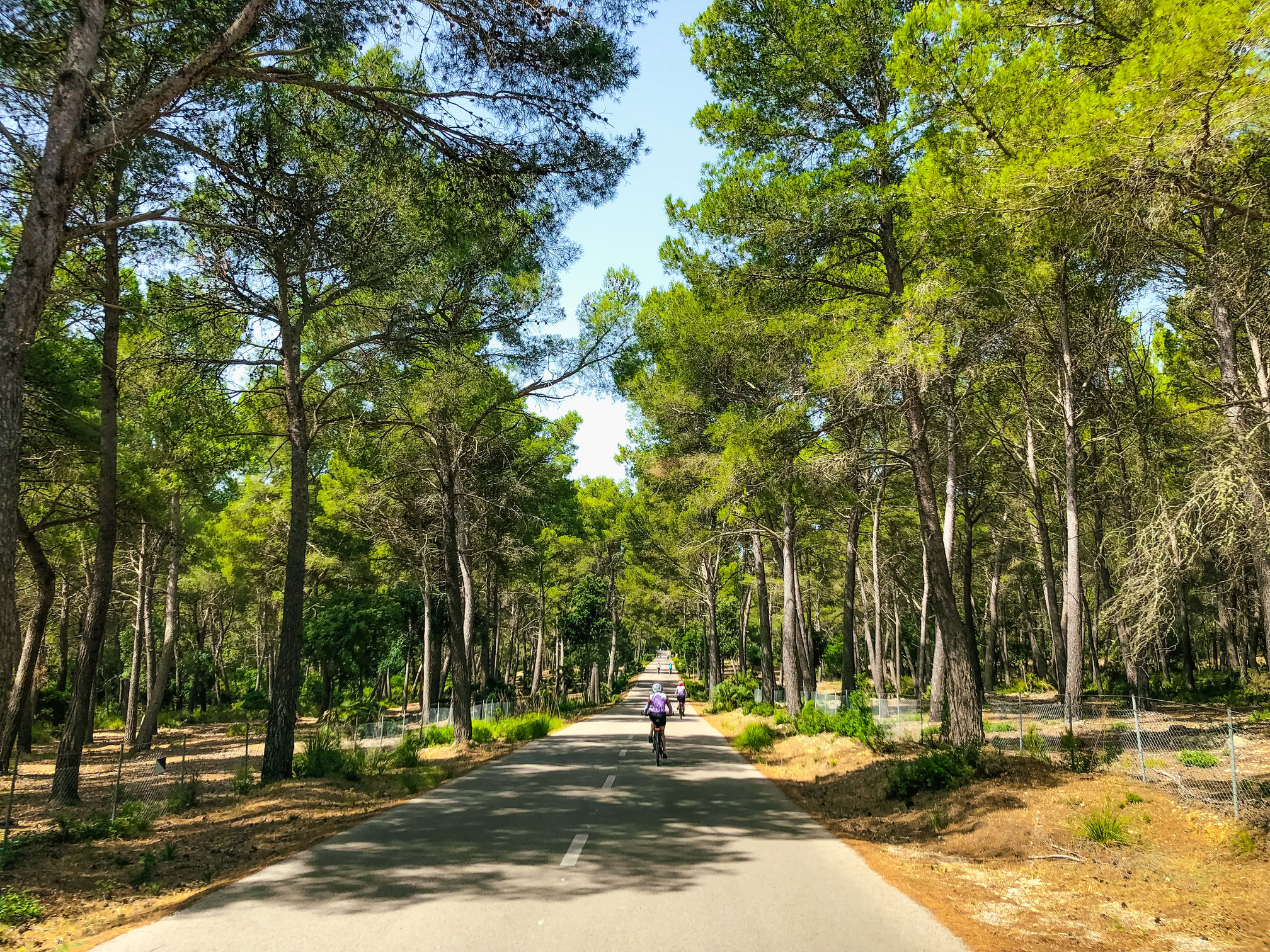group cycling in one of our mallorca bike tours