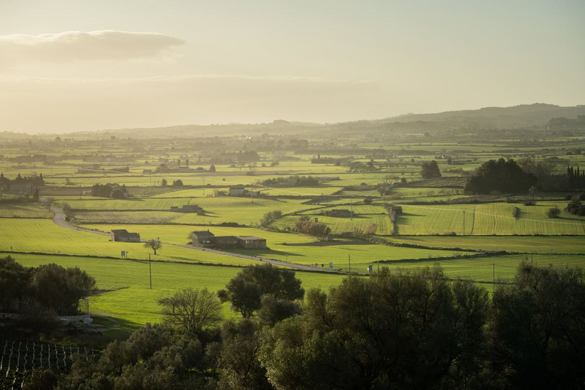 cycling mallorca inland plains amazing landscape