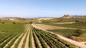 Cycling Rioja: Vineyards, Villages & Mountains