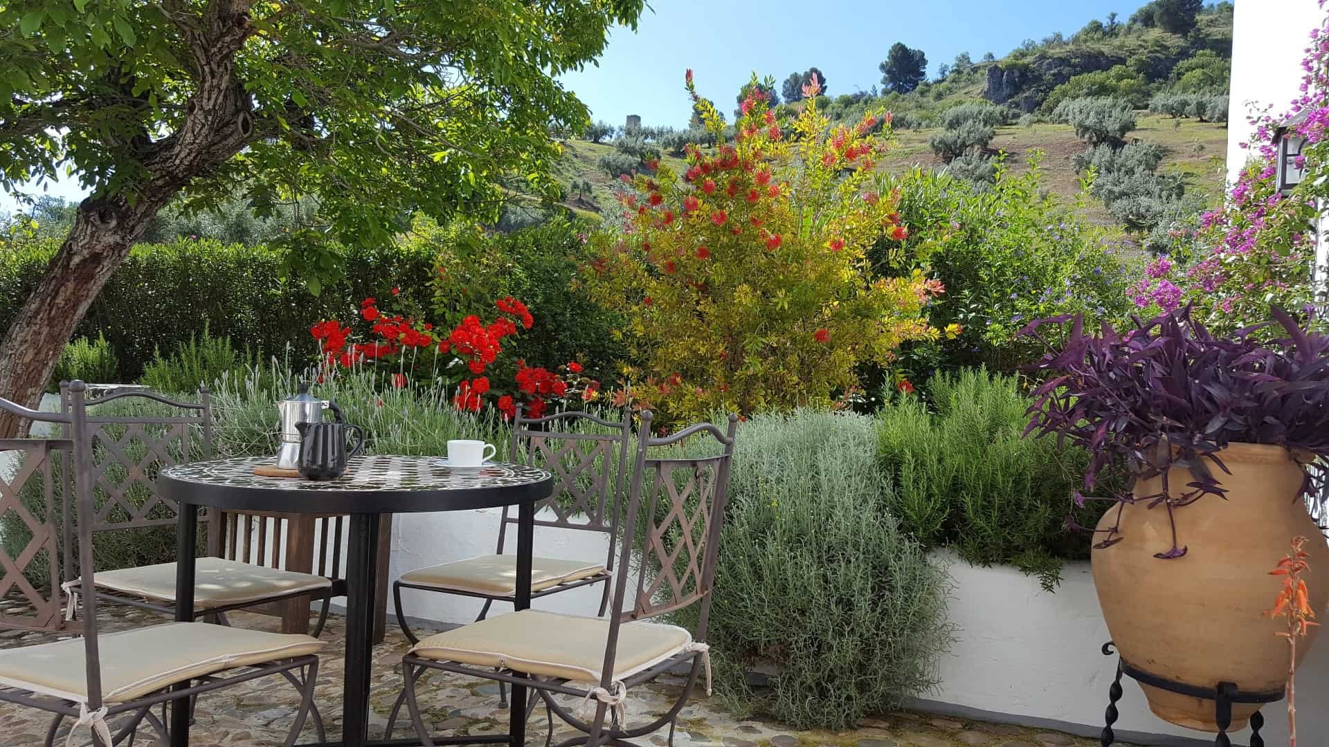 andalucia_holidays_cycling_casa_olea_Patio