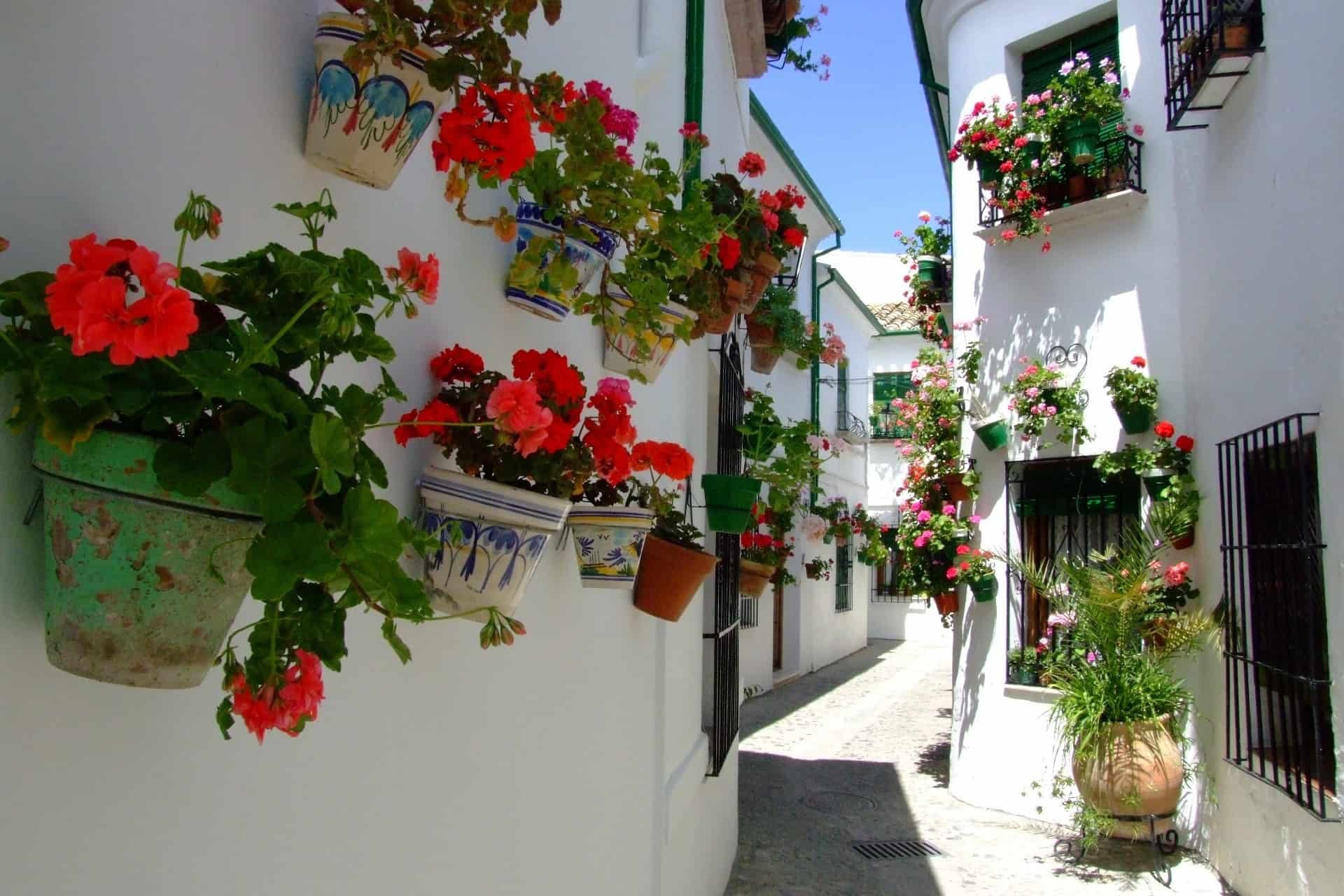 white_villages_Priego_De_Cordoba_Old_Town_Patios_cycling_spain_andalucia