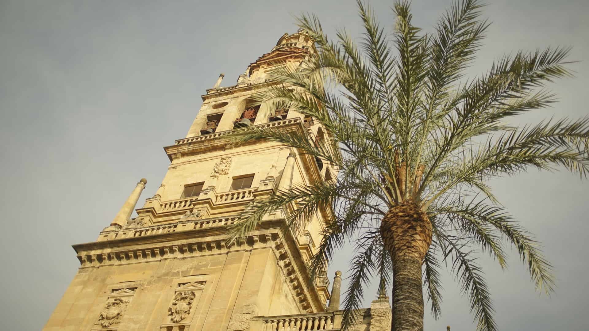 Explore Córdoba's city center and marvel at the Mudéjar arquitecture and it's one of a kind Mosque-Cathedral and Alcazár of the Christian Monarchs.